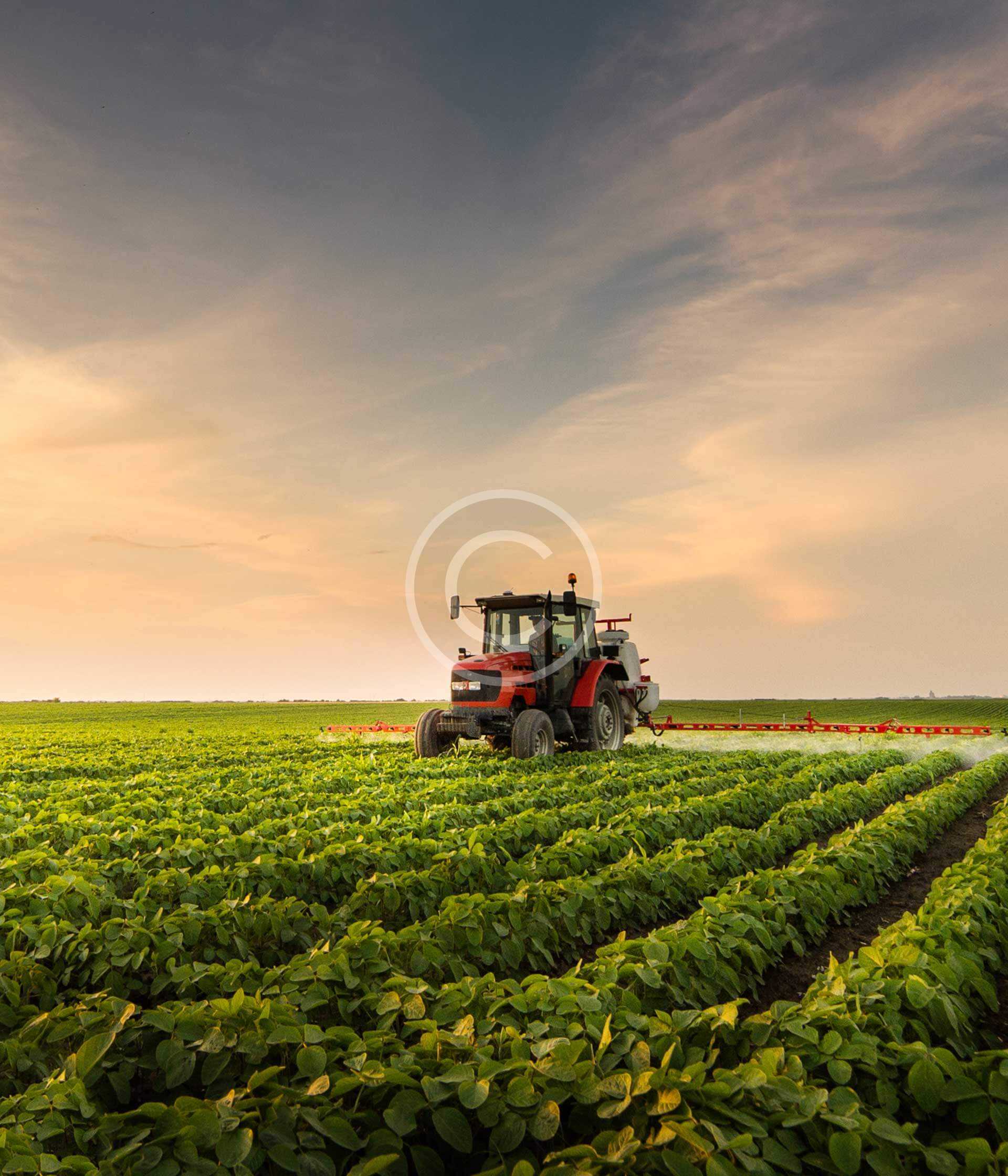 Nutrient Management