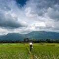 🌦️ Atur Agri Limited             Weather Update