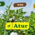 🌾 Crop Condition and Farmer Advisory – 21 August 2026/ATUR AGRI L,T,D.