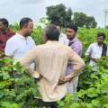 🌾 Atur Agri Limited Conducts a Follow-Up Visit and Provides Agricultural Guidance to Farmers in Nana Bhadla Village