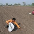 Rabi Season 2026–27 for Gujarat Farmers: Essential Guidance on Weather, Sowing, and Crop Management